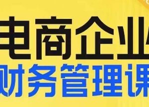 电商企业财务管理线上课 助力企业做好财税规划与风险管控-雨叶虚拟资源网
