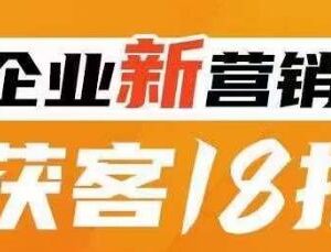 传统企业转型必学新营销获客18招 附全行业案例与落地方法-雨叶虚拟资源网
