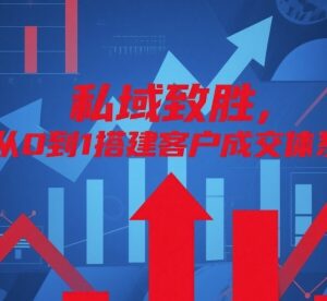 从0到1搭建私域客户成交体系 全链路运营实操攻略-雨叶虚拟资源网
