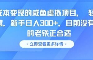 零成本闲鱼虚拟项目操作攻略 轻资产运营适合新手入局增收-雨叶虚拟资源网