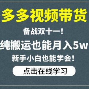 多多视频双11带货实操玩法分享 新手纯搬运可快速上手的增收项目-雨叶虚拟资源网