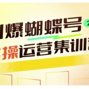 蝴蝶号全流程运营实操教程 从起号到变现完整干货指南-雨叶虚拟资源网