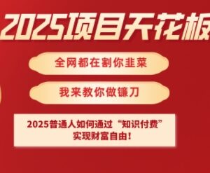 2025普通人知识付费实操指南 低门槛实现财富自由路径详解-雨叶虚拟资源网