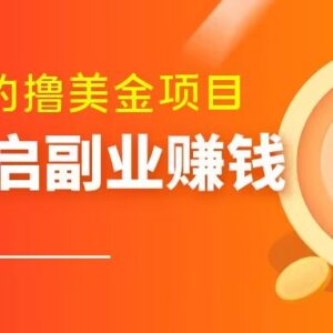 零门槛撸美金项目解析 输入验证码即可完成的低门槛副业-雨叶虚拟资源网
