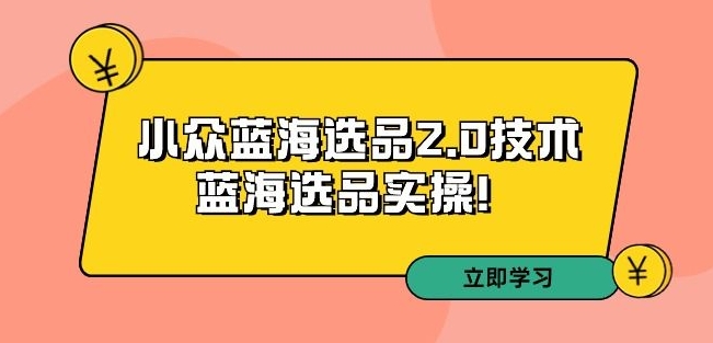 拼多多第33期运营培训 小众蓝海选品2.0实操方法全解析