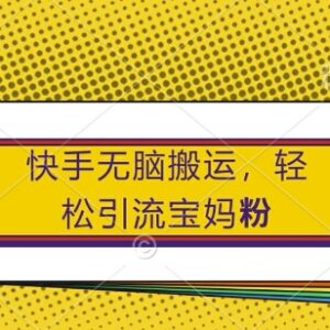 快手无脑搬运引流宝妈粉玩法 纯小白也能轻松上手的实操教程-雨叶虚拟资源网