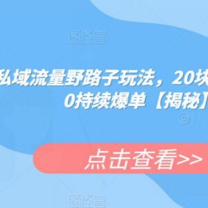 陌陌引流私域高利润变现玩法 20元产品卖200持续爆单攻略-雨叶虚拟资源网