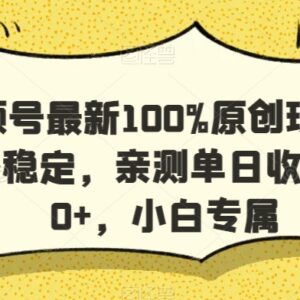 视频号原创高收益实操玩法 小白可上手稳定单日收益超千元-雨叶虚拟资源网
