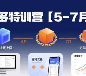 2025拼多多运营特训营 全链路起店推广实操玩法汇总-雨叶虚拟资源网