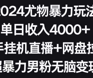 2024快手无人直播搭配网盘拉新 男粉变现实操玩法全解析-雨叶虚拟资源网