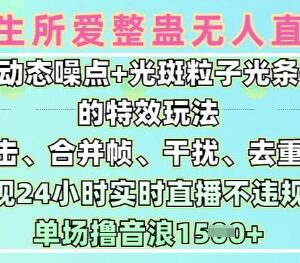 一生所爱无人整蛊直播9.0玩法 24小时合规开播实操教程-雨叶虚拟资源网