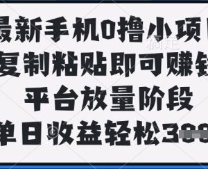 手机零撸轻副业操作指南 平台放量期复制粘贴单日收益300+-雨叶虚拟资源网