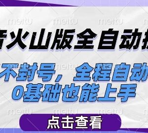 抖音火山版全自动掘金项目介绍 0基础可上手稳定不封号支持批量操作-雨叶虚拟资源网