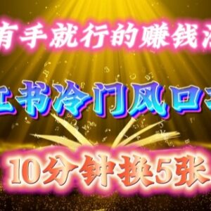 小红书冷门绝版书搬运赚钱项目 小白低门槛操作每日仅需10分钟-雨叶虚拟资源网