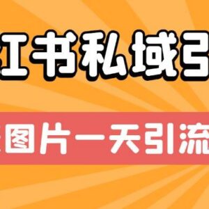 小红书私域引流实操技巧 单账号单张图片单日可引流300+-雨叶虚拟资源网