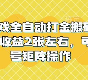 长期稳定老款游戏全自动打金搬砖 单号日入200可多号矩阵操作-雨叶虚拟资源网