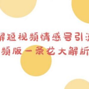 短视频情感号引流变现项目全拆解 新手可落地实操玩法解析-雨叶虚拟资源网