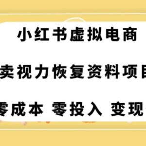 0成本无门槛近视相关副业拆解 手机即可在家长期操作盈利-雨叶虚拟资源网