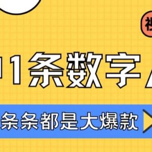 2024不露脸视频号分成计划攻略 数字人原创内容变现实操指南-雨叶虚拟资源网