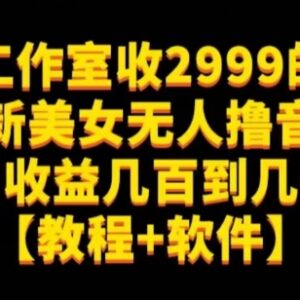 抖音美女无人直播撸音浪实操教程 附配套软件及防违规技巧-雨叶虚拟资源网