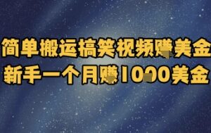 海外平台搬运无版权搞笑视频 新手操作可月入1000美金-雨叶虚拟资源网