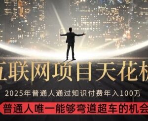 2025知识付费正向盈利玩法拆解 新手可落地长期变现路径指南-雨叶虚拟资源网