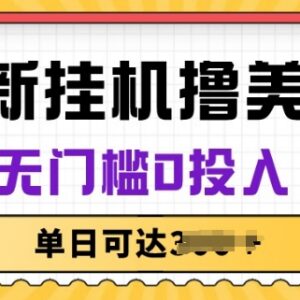 无门槛零投入全自动挂机赚美金 长期稳定被动收益副业解析-雨叶虚拟资源网