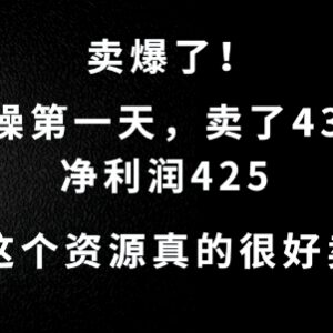 高需求虚拟资源变现项目 新手实操首日盈利425元玩法拆解-雨叶虚拟资源网
