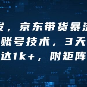 京东带货批量发视频黑科技玩法 多账号矩阵快速出单实操教学-雨叶虚拟资源网