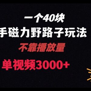 2024快手联合美团磁力聚星新玩法解析 单视频可获四位数收益-雨叶虚拟资源网