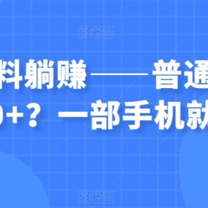 虚拟资料项目实操攻略 普通人仅靠手机实现月入六千的方法-雨叶虚拟资源网