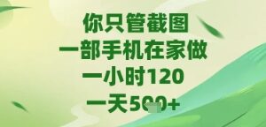 适合新手的手机截图类副业项目 苹果安卓均可在家灵活操作-雨叶虚拟资源网
