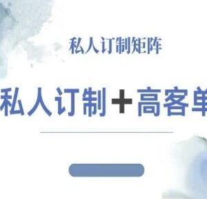 小红书自媒体咨询师IP打造教程 私人定制高客单变现全攻略-雨叶虚拟资源网