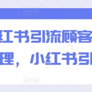 2024小红书引流实操教程 精准获客招募代理运营技巧汇总-雨叶虚拟资源网