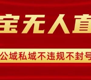 2025淘宝合规无人直播实操 低门槛带货盈利方法详解-雨叶虚拟资源网