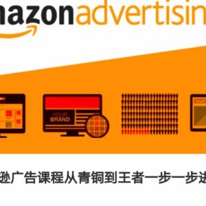 2024年9月更新 亚马逊广告从青铜到王者全阶进阶学习教程-雨叶虚拟资源网