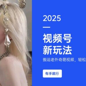 搬运海外奇葩视频赚视频号分成 新手小白低门槛副业实操指南-雨叶虚拟资源网