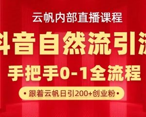 抖音最新自然模版引流玩法教程 单号单日引300+精准创业粉-雨叶虚拟资源网