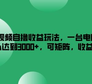 2024搜狐视频自撸收益玩法 单台电脑月入3k可矩阵放大操作-雨叶虚拟资源网