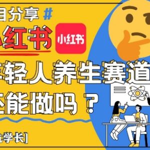 小红书年轻人养生赛道还能做吗 入局运营变现实操全讲解-雨叶虚拟资源网