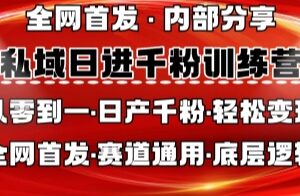 2025私域日产千粉实操教程 全赛道通用从0掌握引流底层逻辑-雨叶虚拟资源网