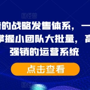 2024靠谱战略发售体系教程 助力IP打造小团队零强销高效运营系统-雨叶虚拟资源网