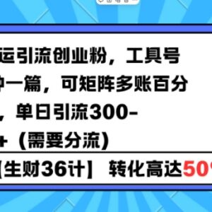 抖音工具号搬运引流创业粉技巧 10分钟出稿可矩阵去重日引300+-雨叶虚拟资源网