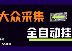 大众点评全自动增访客玩法 新手零成本易操作单日收益可达500+-雨叶虚拟资源网
