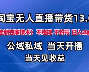 2025淘宝无人直播合规实操方法 低门槛不封号布局旺季赛道-雨叶虚拟资源网