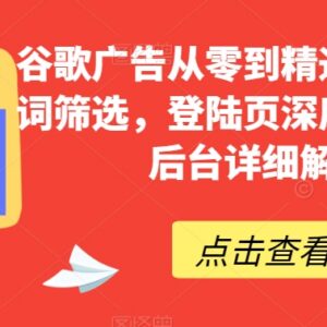 谷歌广告从零到精通系统教程 含关键词筛选登陆页策划后台解读-雨叶虚拟资源网