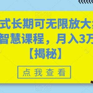 零成本运营职场智慧课程售卖项目 长期可放大月入可达3万+-雨叶虚拟资源网