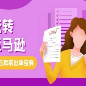 2024亚马逊跨境电商实操教程 新手入门选品运营出单全攻略-雨叶虚拟资源网