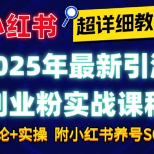 2025最新小红书引流创业粉实战课程 附养号SOP小白轻松上手-雨叶虚拟资源网