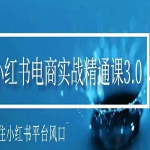 小红书电商实战精通课3.0 零基础开店运营全流程实操教程-雨叶虚拟资源网